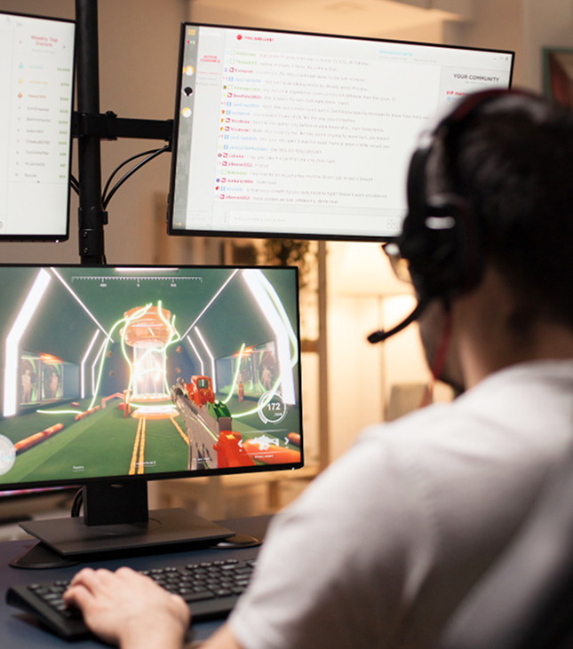 Gaming & Entertainment Software