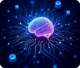 Domain-Specific LLM Fine-Tuning