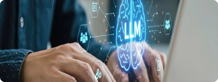 Custom LLM Development and Domain Data Curation