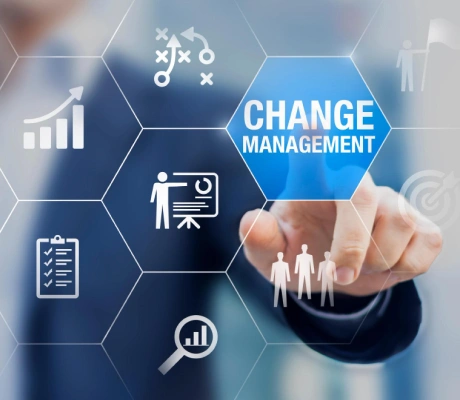 Change Management and Adoption